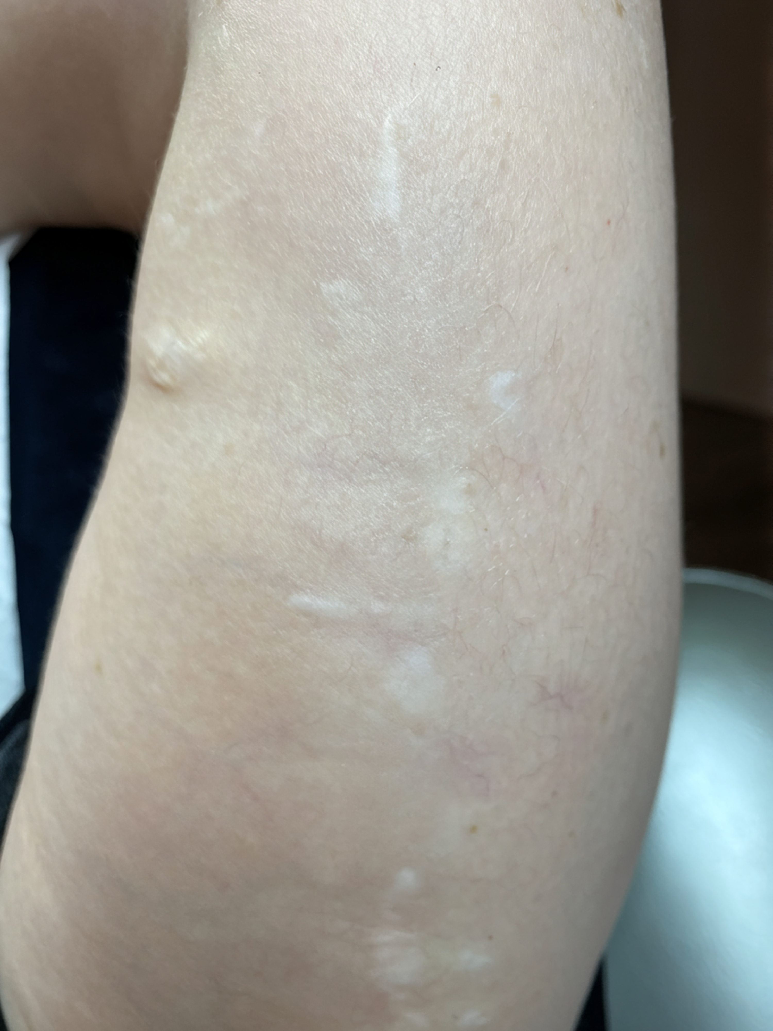 envato-labs-image-edit (16)